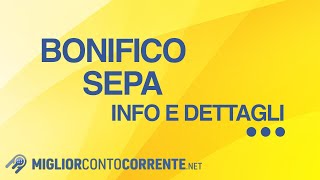 Bonifico SEPA informazioni e dettagli [upl. by Neram]