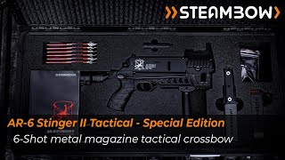 Introducing the exclusive AR6 Stinger II Tactical Special Edition [upl. by Arahas75]