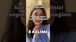 İnce Memed romanlarında geçen bazı yöresel kelimeler edebiyat shorts [upl. by Acissej]