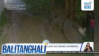 Pagnanakaw ng lalaki sa isang kambing hulicam  Balitanghali [upl. by Meehan]