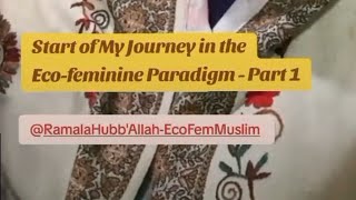 My Journey Into the Ecofeminine Part 1 TheEcoFemininecom [upl. by Vilma]