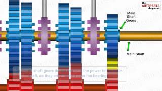 How Car Transmission System Works [upl. by Kandy]