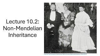 BIOL 001 Lecture 102 NonMendelian Inheritance [upl. by Gallenz]