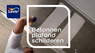 Betonnen plafond schilderen hoe doe ik dat  Levis Lets Colour [upl. by Benjamen]