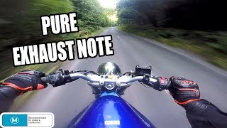 Suzuki Bandit 600  PURE EXHAUST SOUND [upl. by Allene240]