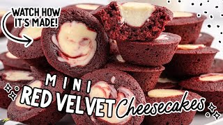 Mini Red Velvet Cheesecake  Best Dessert for any Occasion [upl. by Sile]