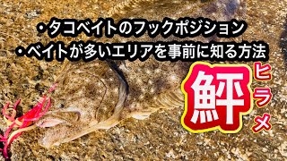 【ショアラバ】ベイトの動きを知り堤防からヒラメを釣る 【石川県 釣り】 [upl. by Rebmetpes214]