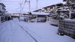 201429 ひたちなか市の積雪15cmでした！ [upl. by Oynotna]