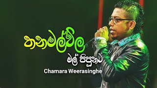 Thanamalvila Mal Pipunata  තනමල්විල මල් පිපුනට  Chamara Weerasinghe Song [upl. by Onateag]