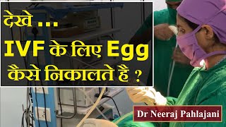 देखे आईवीएफ के लिए एग कैसे निकालते है IVF Egg Pickup Video  Dr Neeraj Pahlajani [upl. by Nyberg]