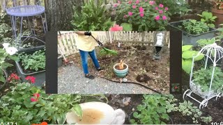 Then vs Now Garden Transformation [upl. by Eolc846]