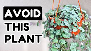 10 Popular Plants You Shouldnt Buy [upl. by Akihsay260]