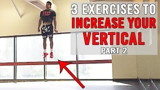 3 Exercises To INCREASE YOUR VERTICAL Pt2  JUMP HIGHER  The Lost Breed [upl. by Sagerman]