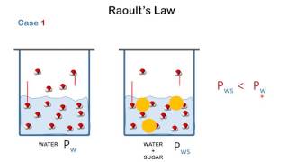 Raoults Law [upl. by Oicneconi]