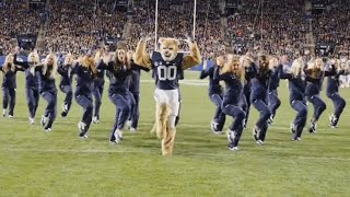 Everyone Is Going Crazy Over This College Mascots Dance Moves [upl. by Emlin560]