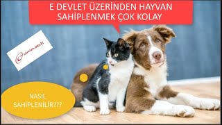 E DEVLETTE HAYVAN SAHÄ°PLENME DÃ–NEMÄ° BAÅLADI BAÅVURMAK Ã‡OK BASÄ°T [upl. by Otanod]