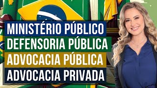 FUNÇÕES ESSENCIAIS À JUSTIÇA  Ministério Público Defensoria Pública e Advocacia Pública e Privada [upl. by Slaughter43]