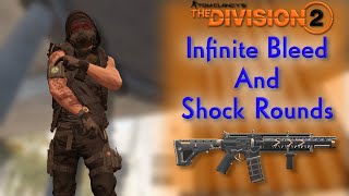 Unbelievable Infinite Ammo And Status  Division 2 Dps Build [upl. by Leigha182]