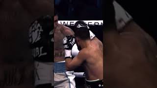 vasiliy lomachenko VS kambosos Jr [upl. by Vittorio14]