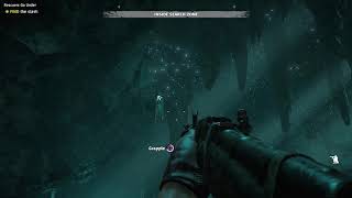 Far Cry New Dawn  Rescuers Go Under  Treasure Hunt Mission [upl. by Assen]