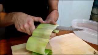 Cucumber Sushi Roll Recipe  Japanese Food Recipe [upl. by Vinnie]