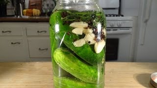 Homemade Dill Pickles Lactofermented [upl. by Yerfej89]