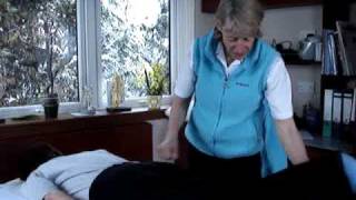 Piriformis Muscle Test [upl. by Jesus249]