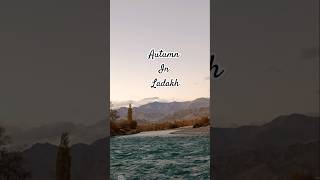 ladakh autumn india [upl. by Nisen]