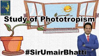 Study of Phototropism by Heliotropic Chamber  Study of Heliotropism  SirUmairBhatti [upl. by Aekan161]