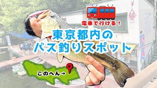 【バス釣り】GWは、電車で行ける都内のバス釣りスポットへ行こう！【弁慶フィッシングクラブ】 [upl. by Tannenbaum]