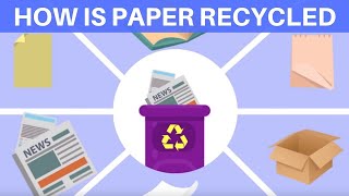 How Is Paper Recycled [upl. by Cary]