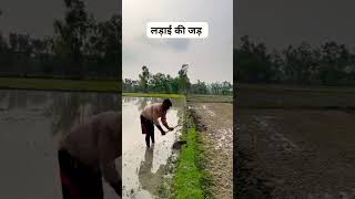 लड़ाई यहाँ से शुरू होती है  बात सही है तो वीडियो शेयर करें  Viral video [upl. by Bihas]