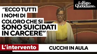 Cucchi in Aula legge tutti i nomi dei detenuti e degli agenti suicidi nel 2024 quotAnno recordquot [upl. by Llenoil]