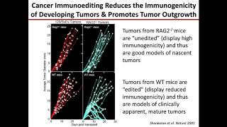 Cancer Neoantigens as Targets for Natural and Therapeutic AntiTumor Responses [upl. by Joellyn]