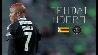 TENDAI NDORO  Goodbye Orlando Pirates  Goals amp Skills  20162017 [upl. by Easlehc]