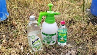 How to kill weeds permanently  Easy way to kill weeds in garden [upl. by Maridel]