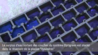 Végétalisation de toiture Optigreen [upl. by Gabriellia]