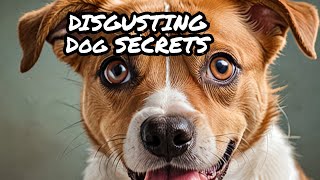 The Disgusting Truth Behind Why Dogs Lick You [upl. by Uriah]