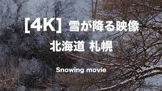 4K 雪が降る映像 北海道札幌 Snow in the light in SapporoHokkaidoJapan [upl. by Fredek]