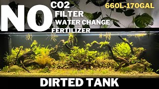 Aquascape Tutorial How To Make A Natural Planted Dirted Tank  Low Tech Tank  Ecosystem Aquarium [upl. by Ozzie]