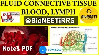 Fluid Connective Tissue Blood And Lymph Structural Organisation In Animals NEET NCERT [upl. by Nylhsa]