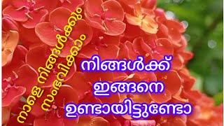 നിങ്ങൾക്കാ ണോ ഇങ്ങനെ സംഭവിച്ചത്  Ningakku engane oru anubhavam undayo [upl. by Ostap28]