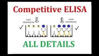 Competitive ELISA [upl. by Spenser]