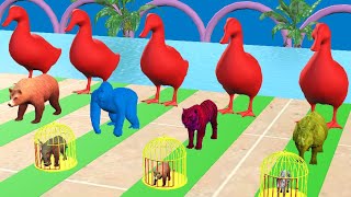 Long Slide Game With Elephant Gorilla Buffalo Hippopotamus Tiger  3d Animal Game  Funny 3d Animals [upl. by Eben]