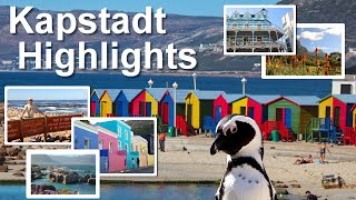 Kapstadt Highlights amp Tipps für Safari in Südafrika [upl. by Maitland802]