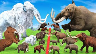 Woolly Mammoth vs Mastodon Fight Which is More Powerful Prehistoric Mammals VS Prehistoric Mammals [upl. by Valtin]