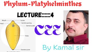 Phylum Platyhelmintheslectur ——4BY Kamal Nepal sir Cee zoology [upl. by Stephie913]