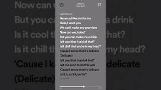 Taylor Swift  Delicate  LYRICS [upl. by Gaspard]