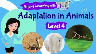 Animal Adaptations For Kids  Science  Grade 3 amp 4  TutWay [upl. by Anerroc]