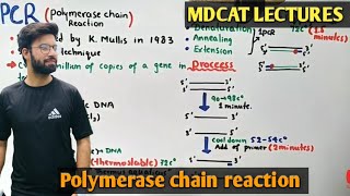 Polymerase chain reaction  PCR  NMDCAT 2021 [upl. by Polak]